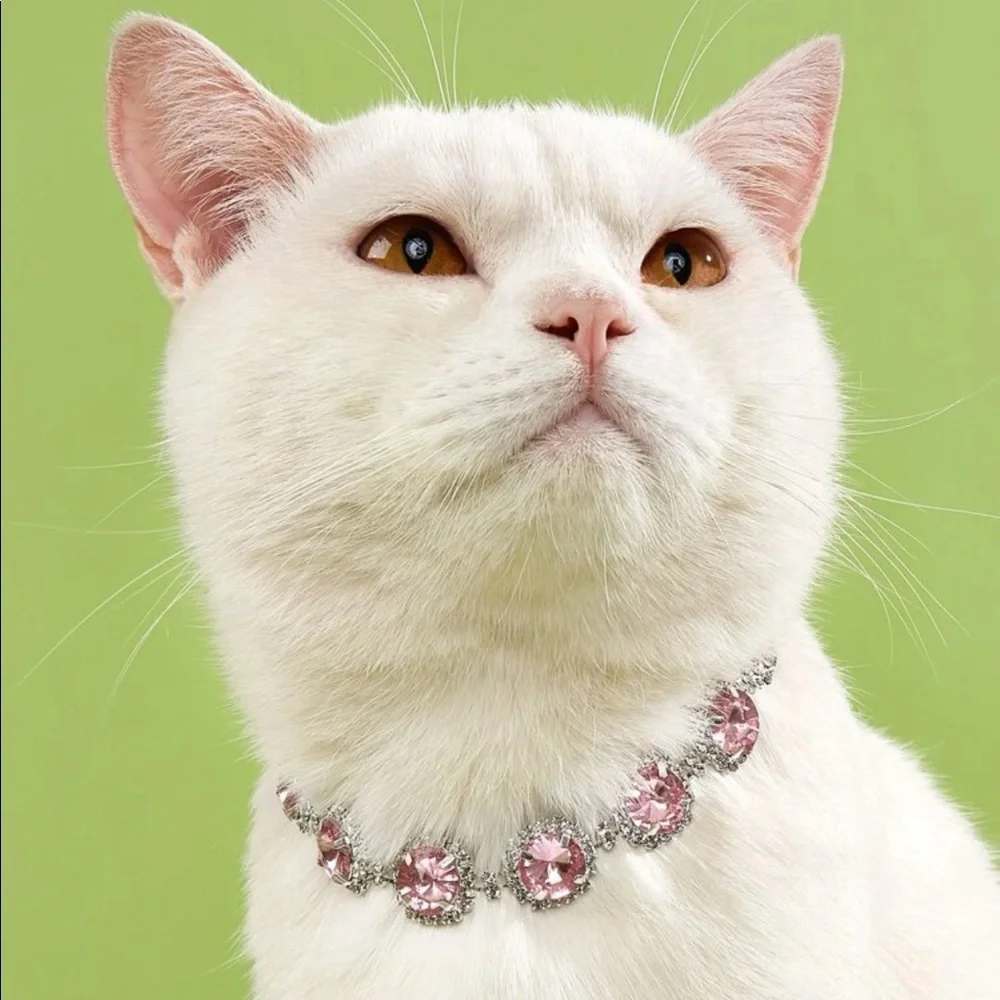 Rhinestone Decor Pet Necklace 🐈